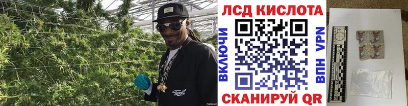 сколько стоит mega вход shop состав Канск Наркотические марки 1,5мг