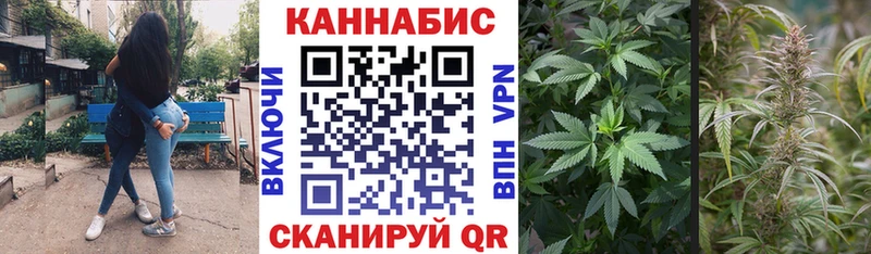 закладки  Канск  Канабис план 
